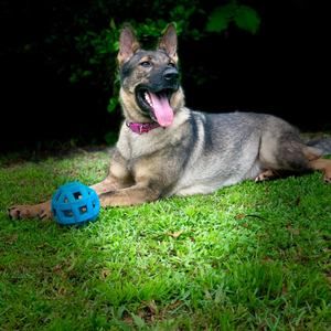 Meet your Posher, Yuri